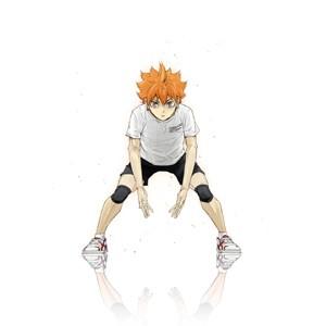 ハイキュー!! ファーストシーズン DVD Vol.1-9 セット : 脳トレ生活