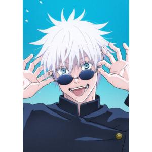 全巻セット【中古】DVD▼天命(10枚セット)第1話～第20話 最終 レンタル落ち 天命 全10枚 第1話〜第20話 最終 レンタル落ち 全巻セット 中古