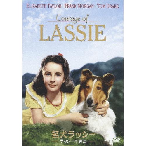 名犬ラッシー〜ラッシーの勇気〜/エリザベス・テイラー[DVD]【返品種別A】