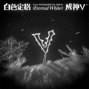 WINTER SPECIAL ALBUM [白色定格 (ETERNAL WHITE)](PHOTO ...