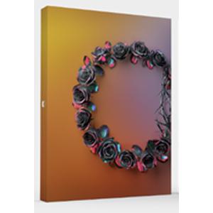 DUAL (DELUXE BOX ALBUM/DAWN VER)【輸入盤】▼/THE ROSE[CD...