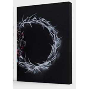 DUAL (DELUXE BOX ALBUM/DUSK VER)【輸入盤】▼/THE ROSE[CD...