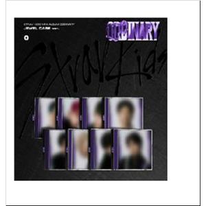 Stray Kids SKZ IT TAPE 'DO IT' (PLATFORM PLVE VER.) ［ミュージック