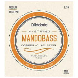 ダダリオ マンドリン弦 D'Addario Mandolin Family EJ79