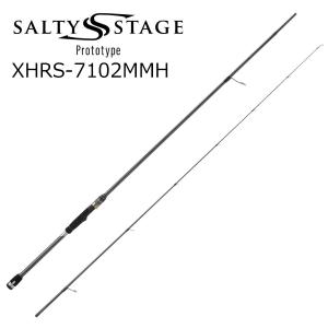 Abu Garcia（アブガルシア） アブ ガルシア ソルティーステージ