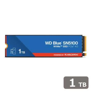 Western Digital WDS100T3B0E ［WD Blue SN580 M.2 Type2280