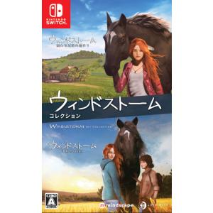 4Divinity (Switch)ウィンドストーム ザ・コレクション 返品種別B｜joshin