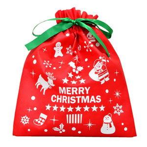 ジョーシンオリジナル クリスマスバッグ Sサイズ 返品種別B
