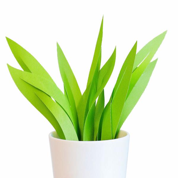 ミクニライフ＆オート ミスティクラフト リーフB(アップルグリーン) U707-10ミステイクラフト...