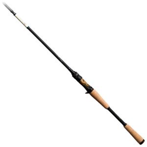 DAIWA（釣り） ダイワ 25 ブラックレーベル C67L/ ML+ -BF