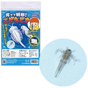 アーテック 育てて観察! エビもどき 返品種別B
