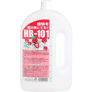 HB101 500cc 2個 原液 植物活力剤 植物活力剤 HB-101 50cc+500ccスプレー容器セット フローラ : e