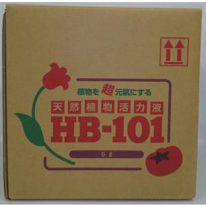 フローラ HB-101 天然植物活力液 5L HB-101 FR-2055022 返品種別B｜joshin