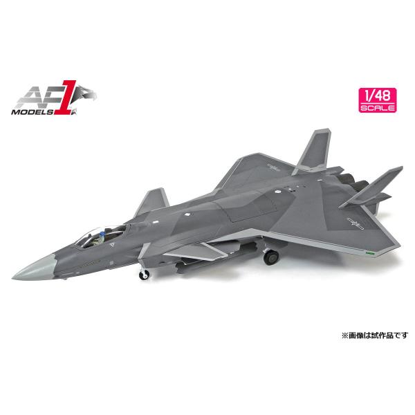 エアフォースワン 1/ 48 中国人民解放軍空軍 ステルス戦闘機 J-20(AF0165)塗装済完成...