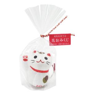 聖新陶芸 おみくじ招き猫千客万来 栽培セット GD-32701 返品種別B