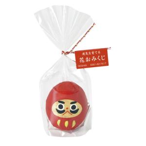 聖新陶芸 おみくじだるま赤 栽培セット GD-32801 返品種別B