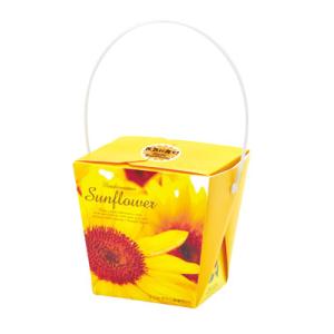 聖新陶芸 スマイルサンフラワーフローラルコンテナ 栽培セット GD-434 返品種別B