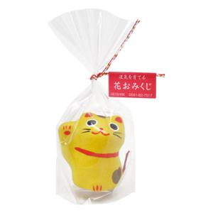 聖新陶芸 おみくじ招き猫金運 栽培セット GD-32702 返品種別B