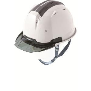 シーズクラブ 0381 リフレクションスケルトンバイザーヘルメットC2 型 C's CLUB 0381-18-F