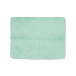 アリーナ セームタオル arena スイムタオル DS-FAR4932-GRN-F