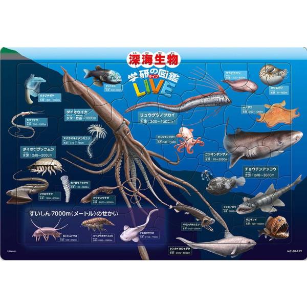 テンヨー チャイルドパズル 深海生物図鑑(学研の図鑑LIVE) 80ピース(MC-80-759)ジグ...