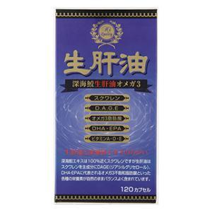 生肝油オメガ3(120カプセル) ウエルネスジャパン 返品種別B
