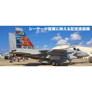 プラッツ 1/ 72 航空自衛隊 F-15J イーグル 那覇基地 美ら島エアーフェスタ2023 記念...