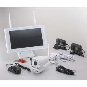 日本セキュリティー機器販売 防犯カメラ NSK eye revo pro (アイ レボ 