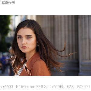 ソニー E 16-55mm F2.8 G ※ソ...の詳細画像4