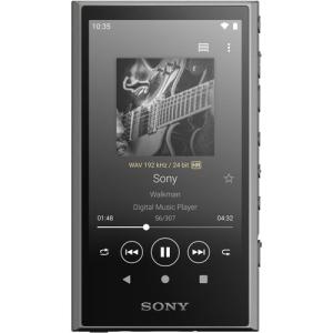 ソニー ウォークマン A300シリーズ 64GB(グレー) SONY Walkman NW-A307-H 返品種別A｜joshin