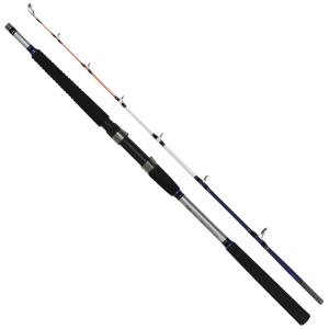 DAIWA（ダイワ） (7)【目玉商品】ダイワ ディーオ TSG 100-200 (船竿
