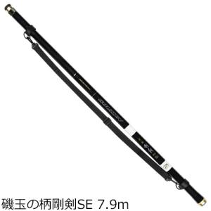 DAIWA（ダイワ） 18 IM 玉の柄 70 【大型商品2】 : つり具のヨコオ