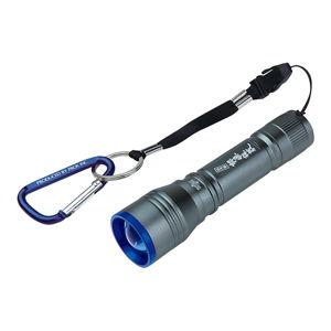 プロックス UVライト 四代目根魚権蔵蓄光器 ズームレンズ(ブルー)16ルーメン PROX ブラック...