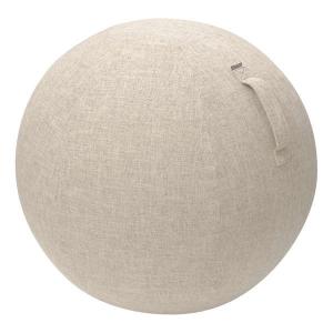 ELECOM（エレコム） バランスボール HCF-BBC65BE バランスボールカバー