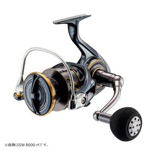 DAIWA（ダイワ） 【目玉商品】ダイワ 23 BG SW 5000D-CXH (2023年