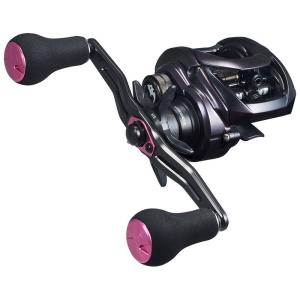 DAIWA（ダイワ） 24 スティーズ SV TW 100 (右ハンドル) ／3日〜6日で