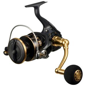 DAIWA（釣り） ダイワ スピニングリール BG SW 8000-H 23年