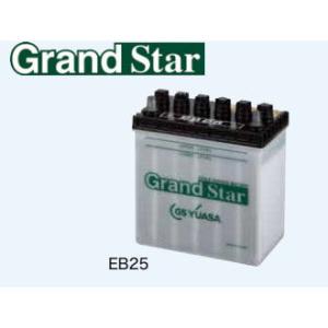 GSユアサ EB100-LER GS YUASA ジーエスユアサ （高性能ディープ