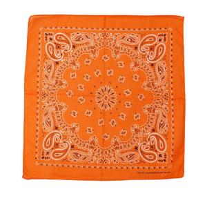 BACKYARD FAMILY (バックヤードファミリー) Bandanna COLLECTION (ORANGE)の商品画像