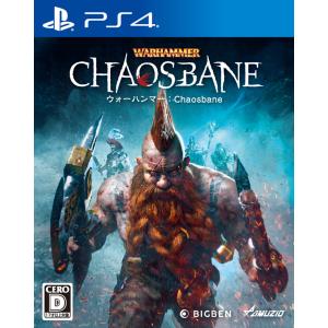 オーイズミ アミュージオ ウォーハンマー：Chaosbane 返品種別B