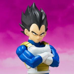 ピッコロ　ベジータ　パンジ　パネル付きフィギュア ドラゴンボールDAIMA r④ ドラゴンボールDAIMA ベジータ（ミニ） パネル付きフィギュア