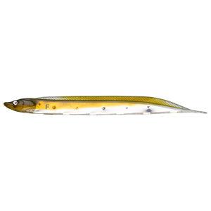 フィッシュアロー フラッシュJ シラウオ 3インチ Feco F22 Fライブアユ Fish Arrow フラッシュJ シラウオ3 Feco F22 Fライブアユ