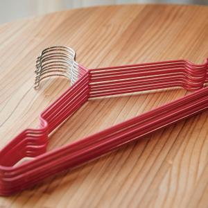 アンファンス 滑りにくいハンガー 10本セットAn-Sli EN FANCE EF-SR19PK