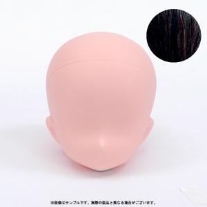 アゾン 1/ 6 ピュアニーモ用ヘッドドール用パーツ