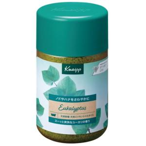 クナイプ バスソルト ラベンダー ( 850g )/ クナイプ(KNEIPP) 入浴剤