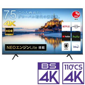 (標準設置無料 設置Aエリアのみ) ハイセンス 75型4Kチューナー内蔵 LED液晶テレビ (別売USB HDD録画対応) Hisense A6Gシリーズ 75A6G 返品種別A