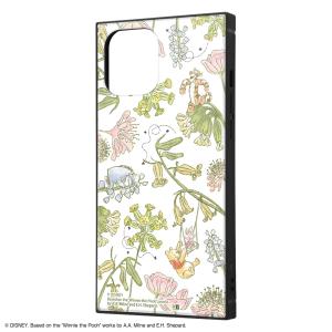 イングレム iPhone 12 Pro Max用  耐衝撃ハイブリッドケース KAKU IQ-DP28K3TB/ PO034