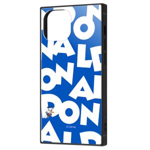 イングレム iPhone 13 mini用  耐衝撃ハイブリッドケース KAKU IQ-DP30K3TB/ DD003