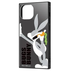 イングレム iPhone 13 mini用  耐衝撃ハイブリッドケース KAKU IQ-WP30K3TB/ LN1