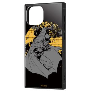 イングレム iPhone 13 mini用  耐衝撃ハイブリッドケース KAKU IQ-WP30K3TB/ BM2